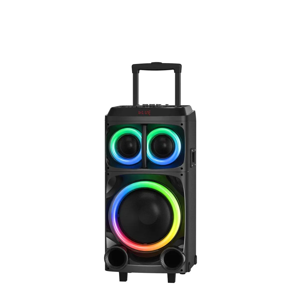 RM-2305-12S wooden party tower speaker