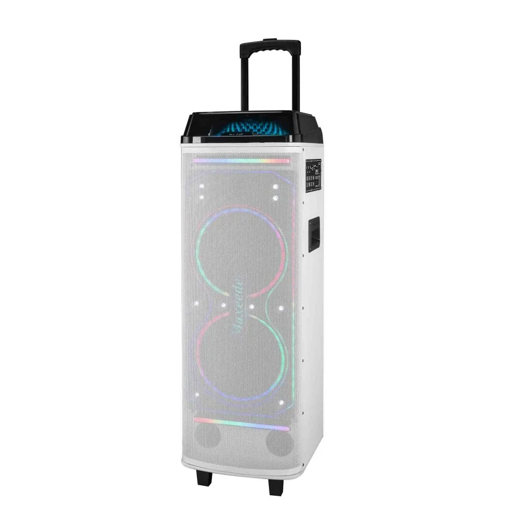 RM29 dual 12 inch trolley speaker