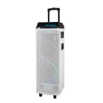 RM-29 professional speaker from MinYi Audio