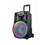 RM1901-12L professional speaker from MinYi Audio