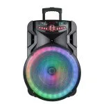 RM1901-15L professional speaker from MinYi Audio