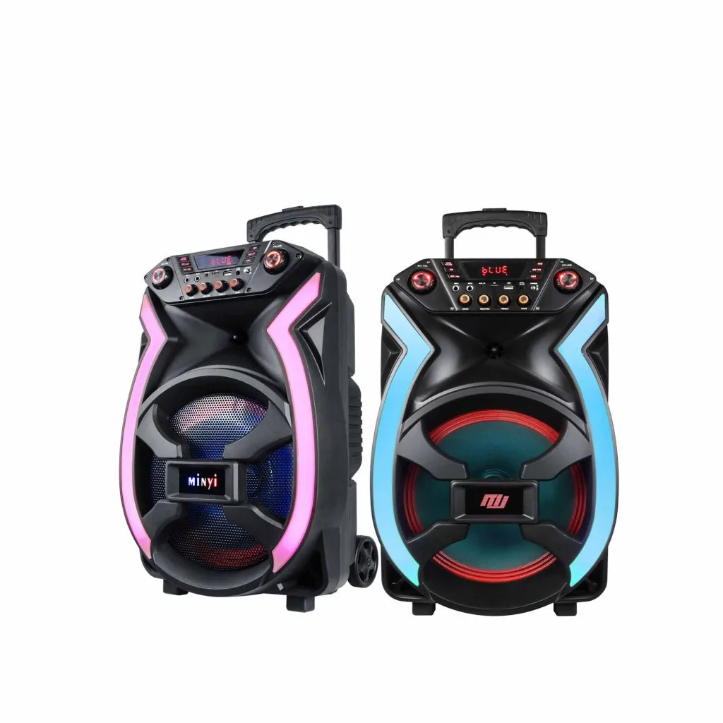 RM2103-12 12 inch trolley speaker