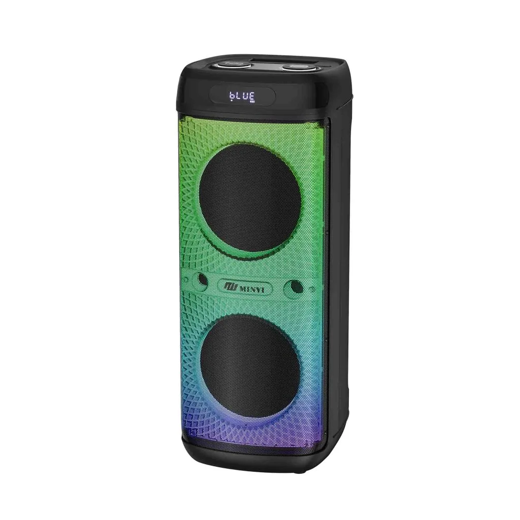 RM230-10 dual 10 inch party speaker tower with RGB backlit mesh - view product details
