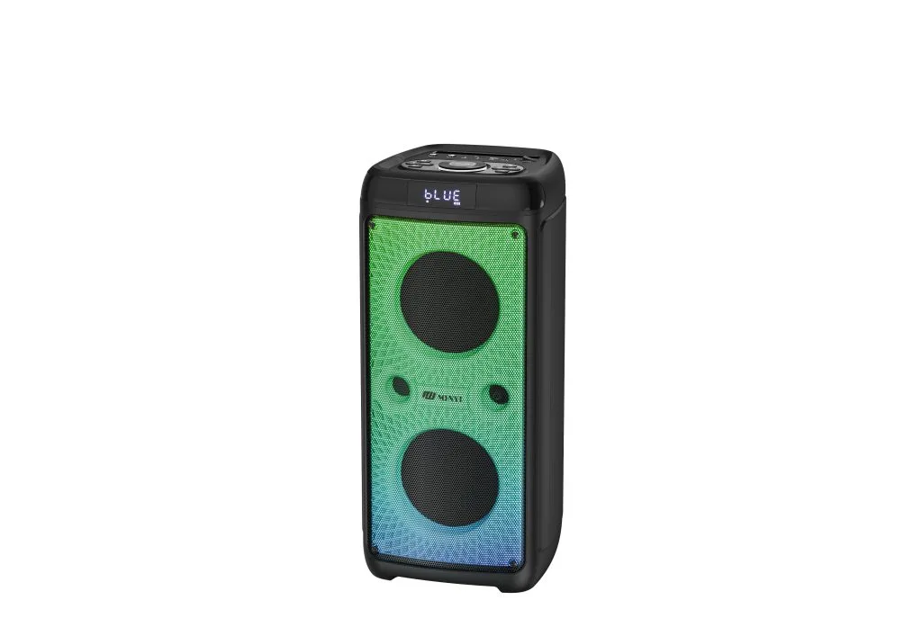 Tour enceinte de fête double RM230-6 de 6.5 pouces