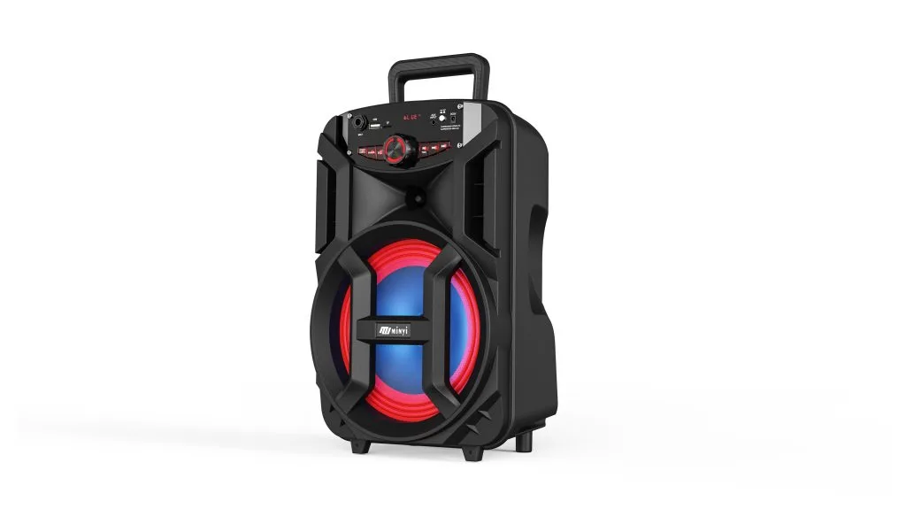 RM54-8 8 inch portable party speaker