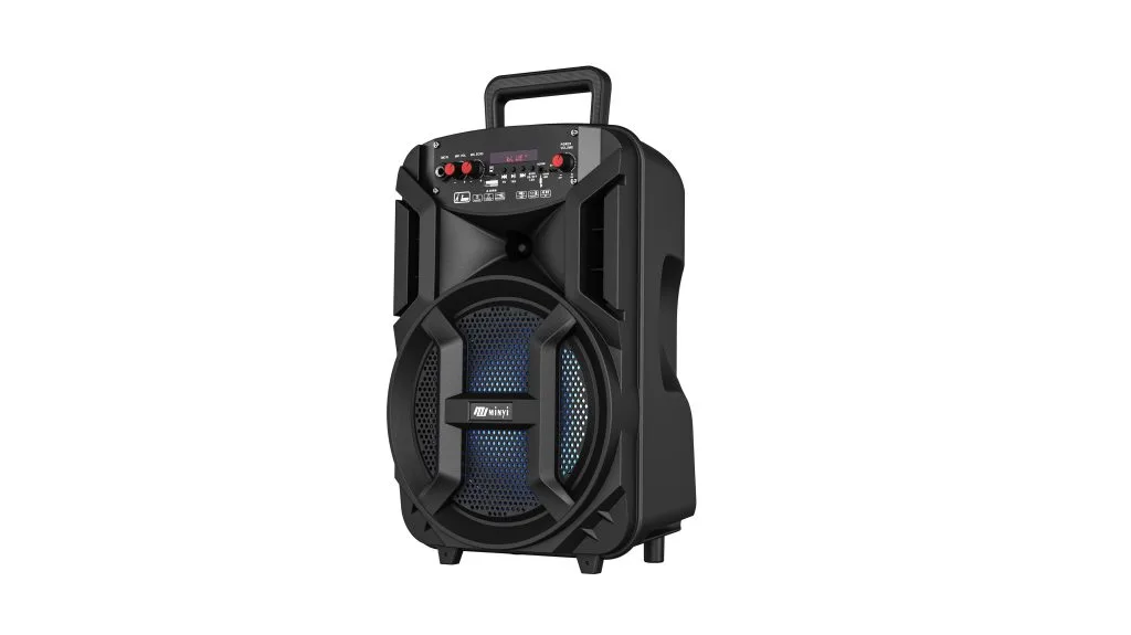 RM54-8B 8 inch portable party speaker