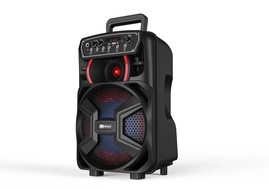 RM632-8B 8 inch portable party speaker