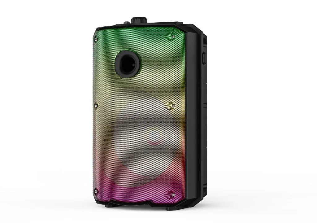 RM68-8L 8 inch LED portable party speaker