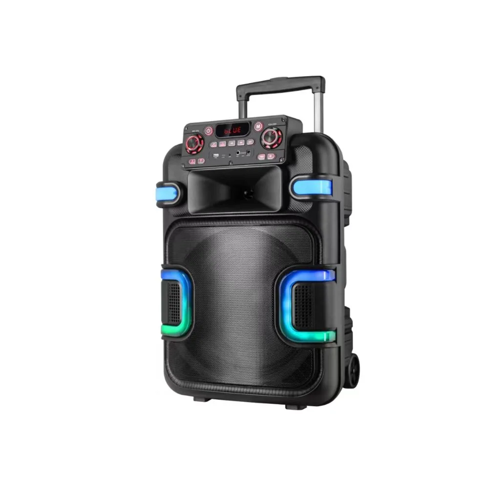 RM699-12 12 inch trolley speaker with horn tweeter