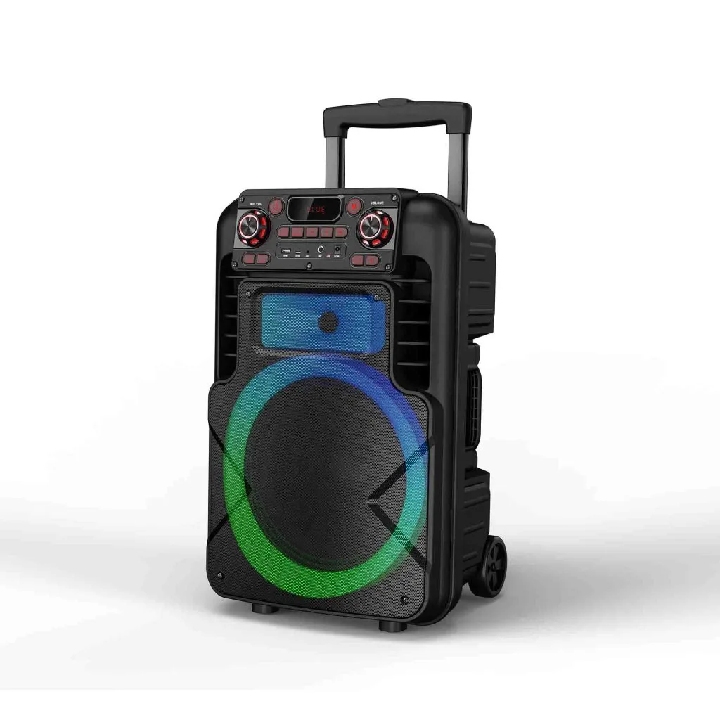 RM688-12B 12 inch trolley speaker