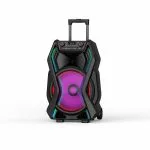 RM898-1215 professional speaker from MinYi Audio