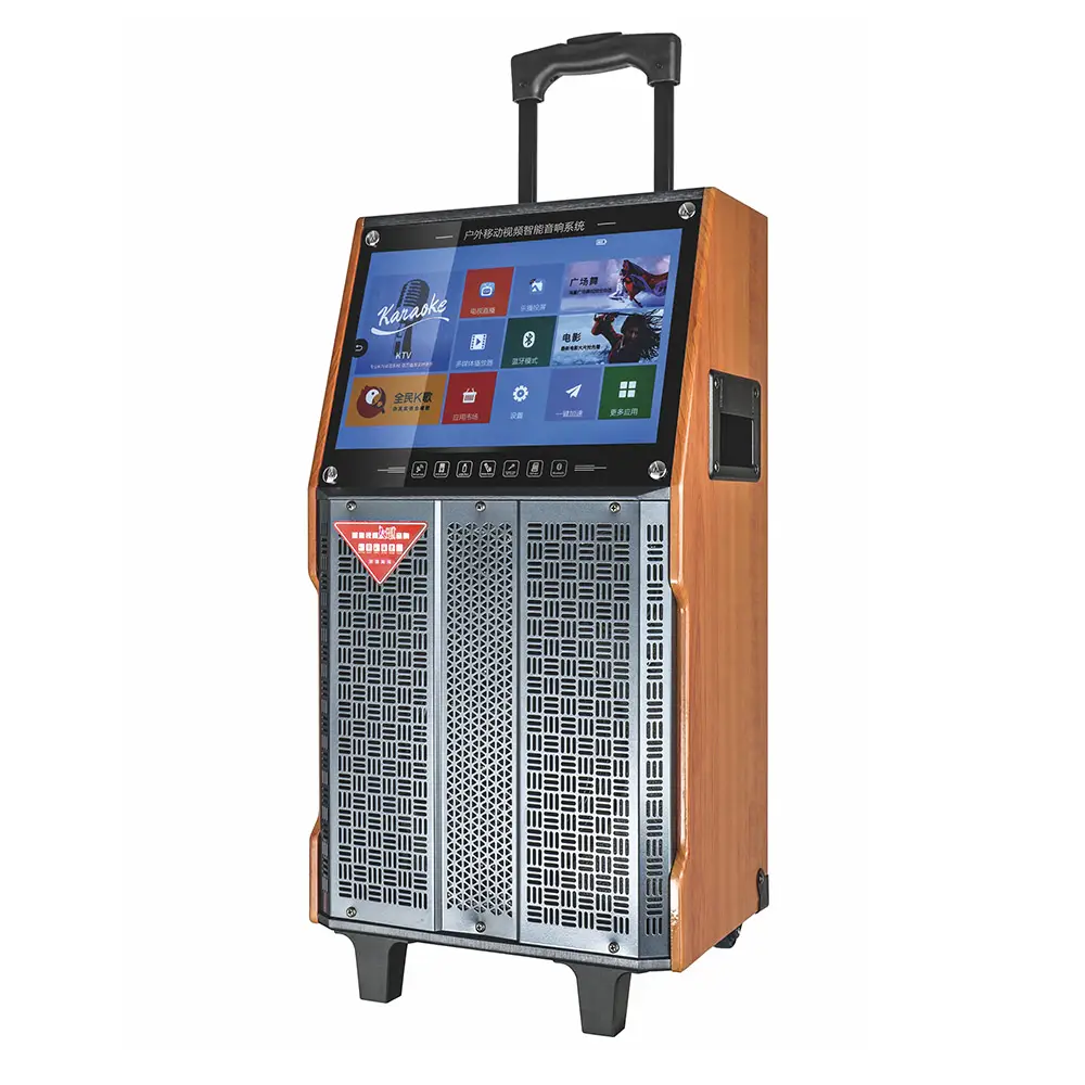 V052A karaoke video speaker with wooden cabinet